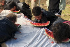 7_4-pic-47